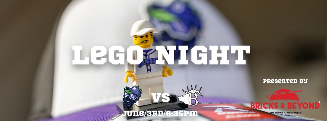 Lego Night Presented by Bricks and Beyond