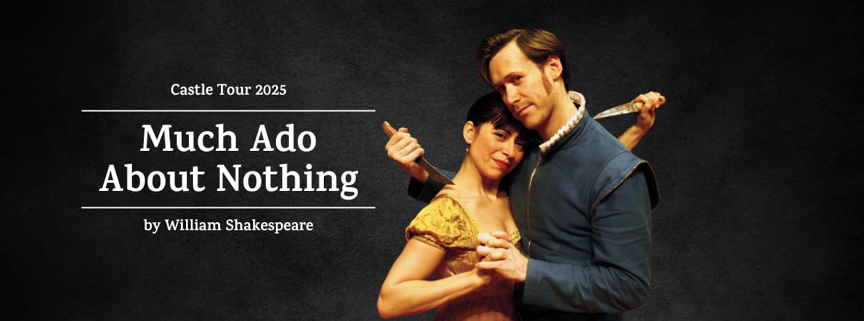 Much Ado About Nothing - Chateau de Pragins