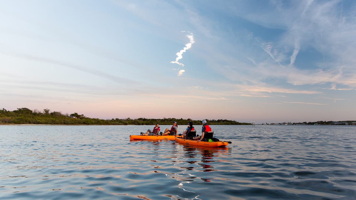 Viking EcoTours