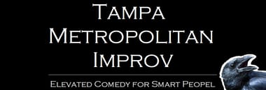 Tampa Metropolitan Improv