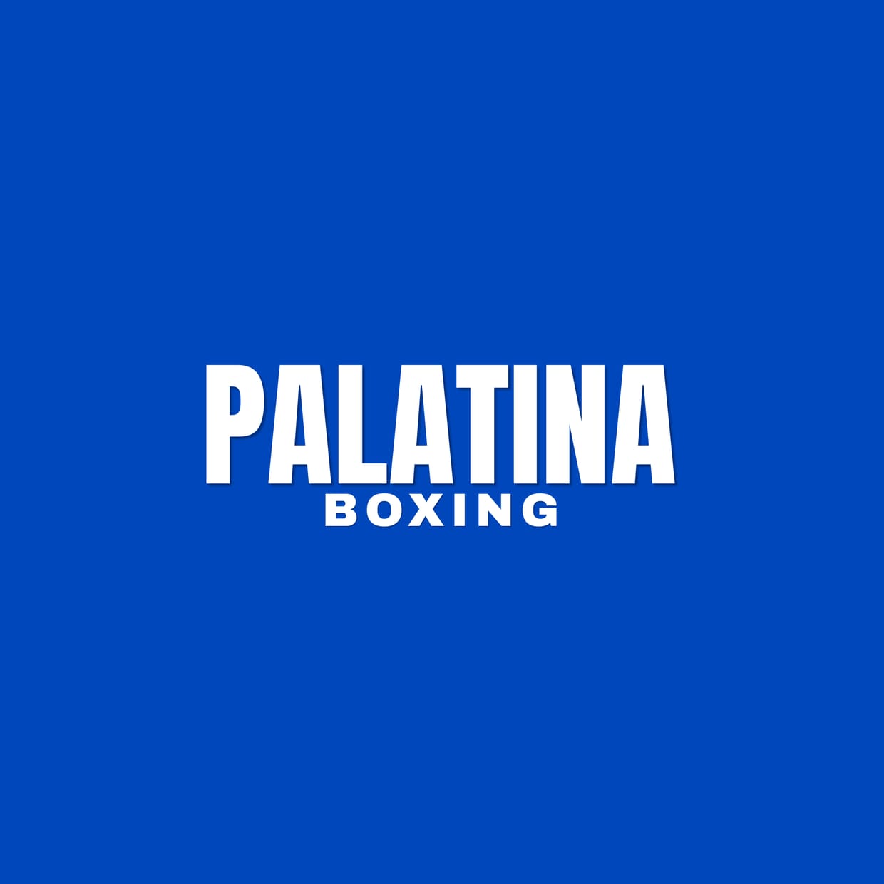 PALATINA 10 - LAVAL