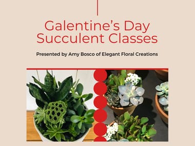 Galentine’s Day Succulent Class