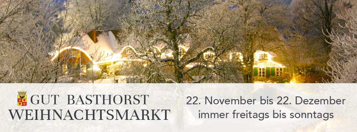 Weihnachtsmarkt Gut Basthorst 