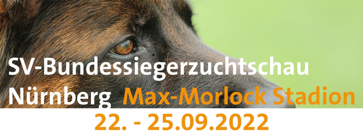 BSZ 2022 Stadion Eintrittskarten Freitag 23.09.2022