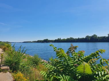 Von Wirtschaftsweg zur Flaniermeile: Die Eltviller Rheinuferpromenade / So, 4. Sept. 2022