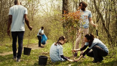 Alternative Spring Break Service Trip - TRIP IS FILLED