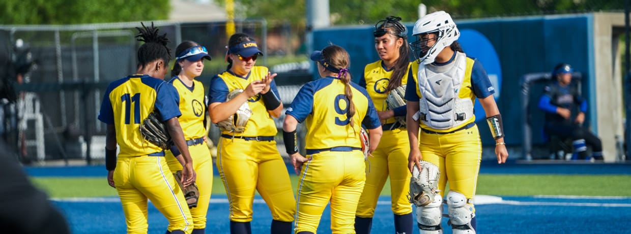 Lion Softball Season Tickets