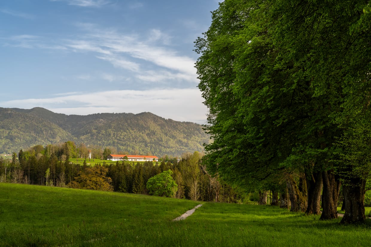 Transfer nach Nantesbuch
