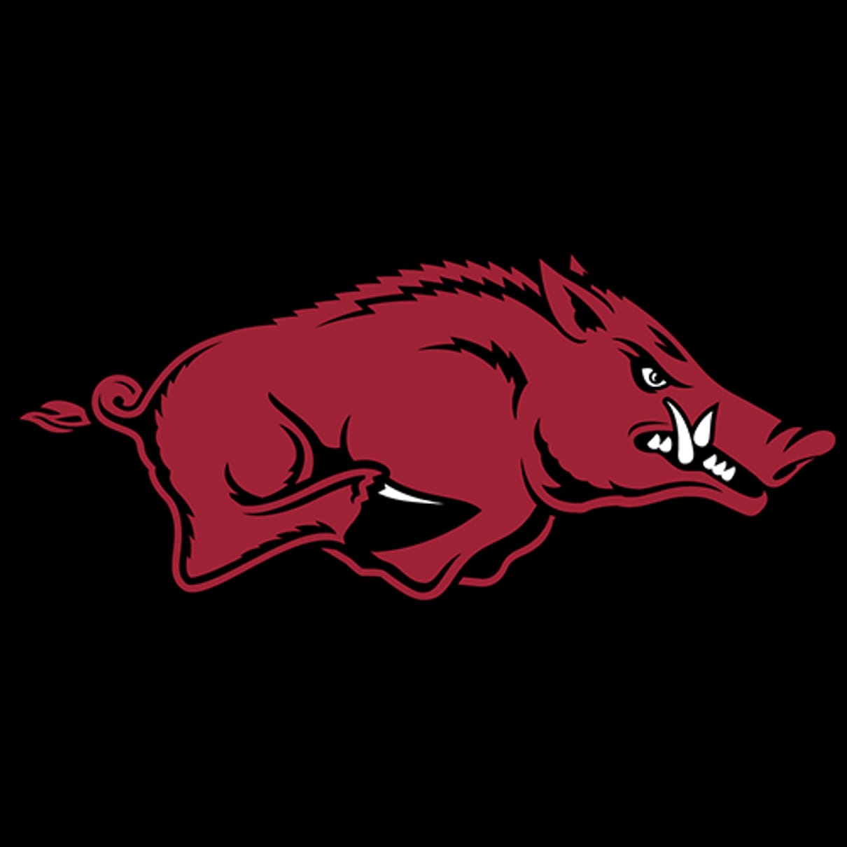 Arkansas | REVELxp