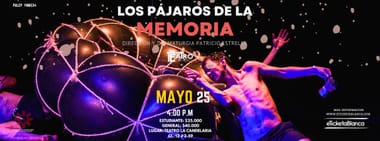 LOS PAJAROS DE LA MEMORIA 