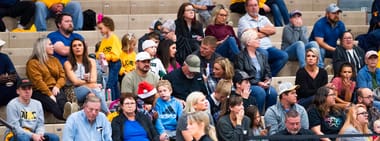 Lion Basketball Family Four-Pack 