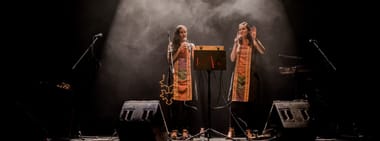Las Áñez