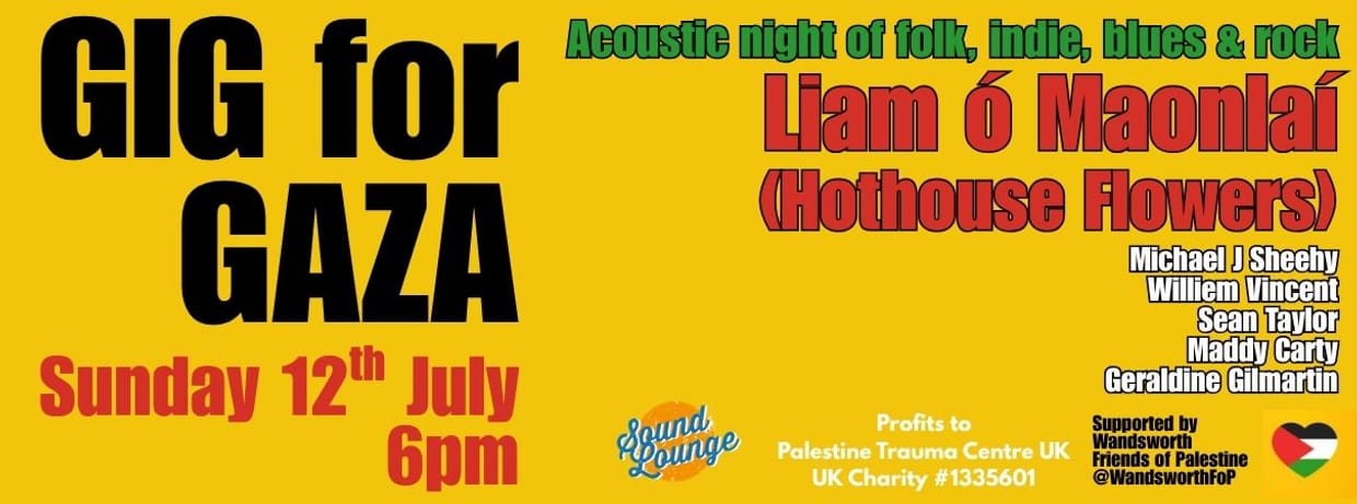 Gig for Gaza with Liam ó Maonlaí (Hothouse Flowers)