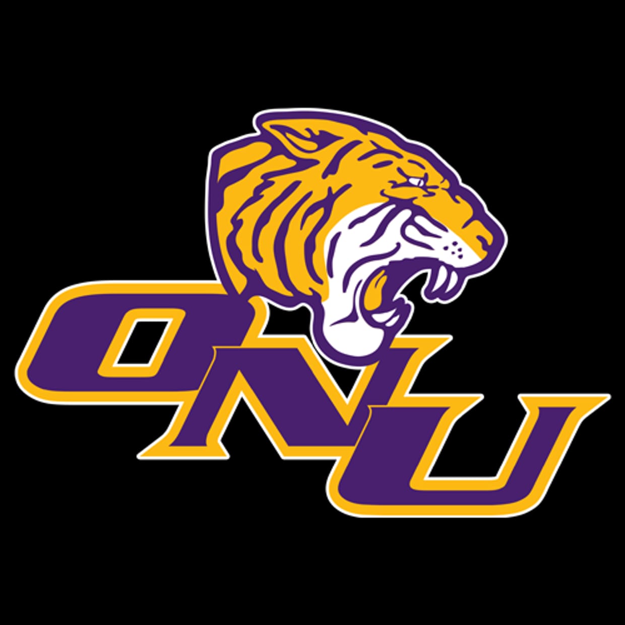 ONU Baseball Recruiting