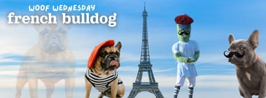 French Bulldog Night + Woof Wednesday Presented by The UPS Store