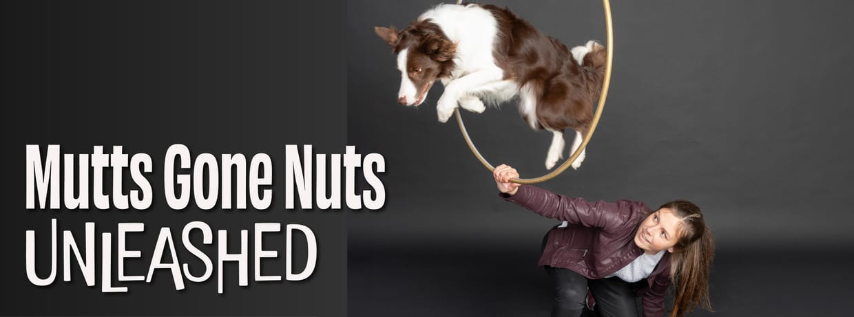 Mutts Gone Nuts - Unleashed