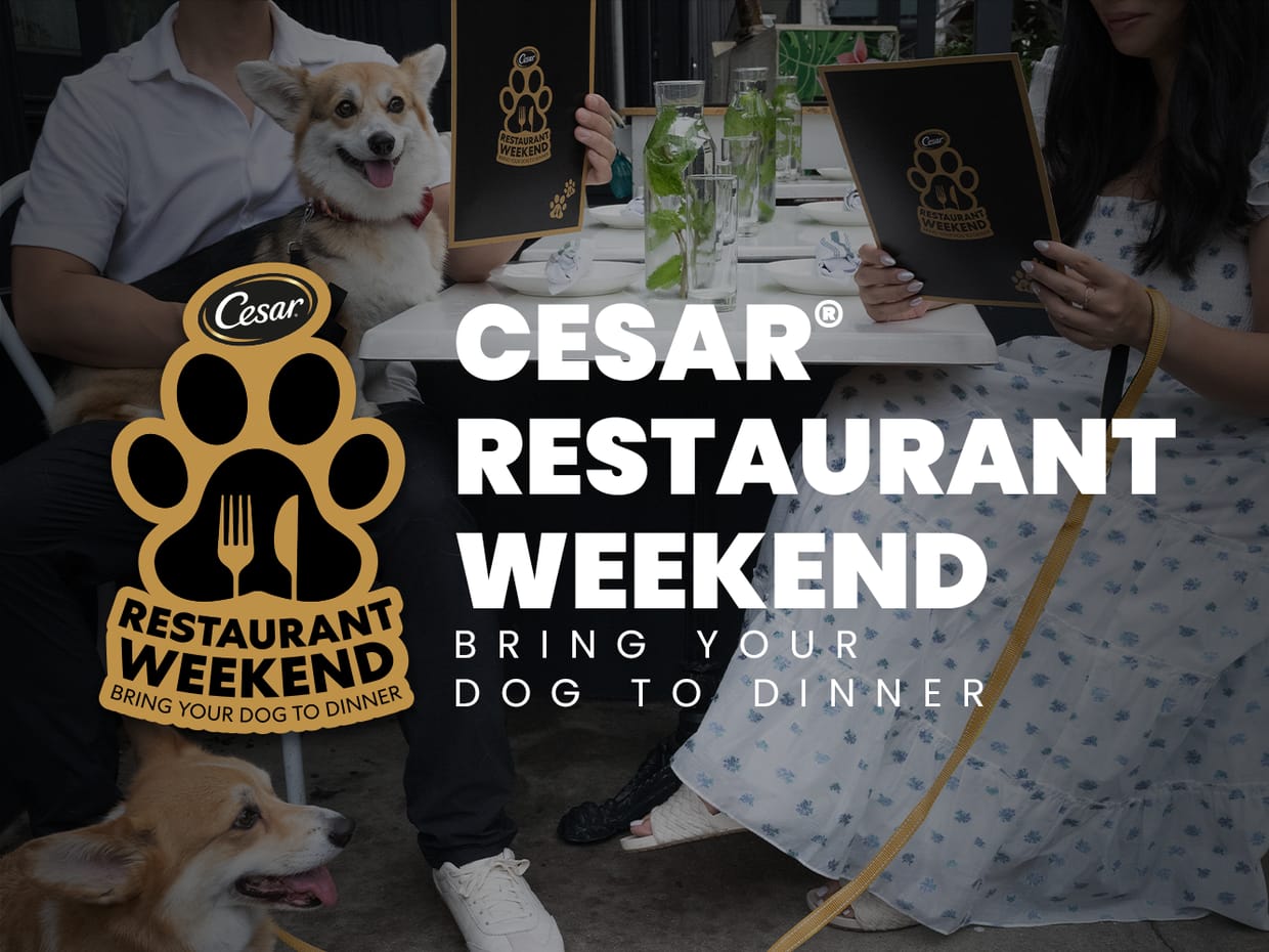 CESAR Restaurant Weekend