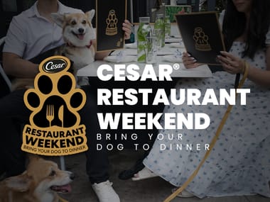 CESAR Restaurant Weekend
