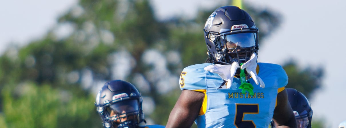 Mount Mercy Mustangs