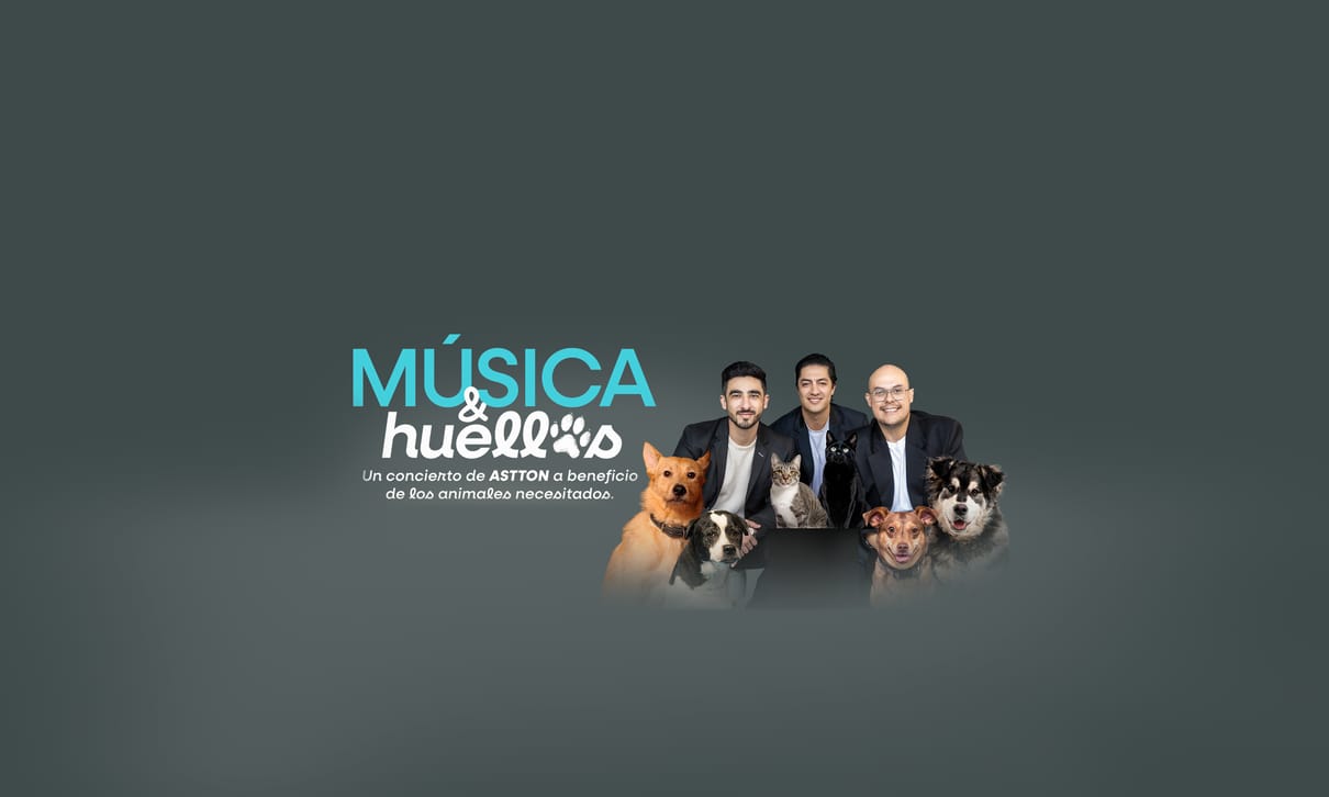 Asociación de Amigos de los Animales