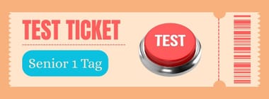 Test Ticket (Senior 1 Tag)