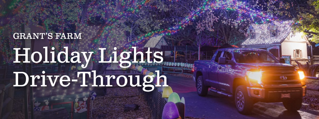 Holiday Lights Drive-Through at Grant's Farm 