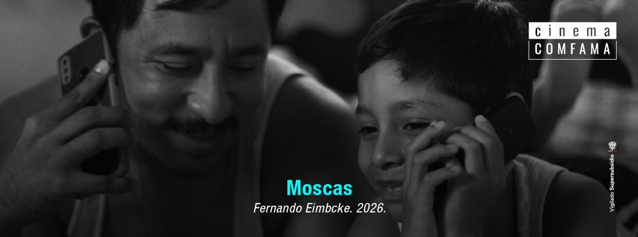 Moscas