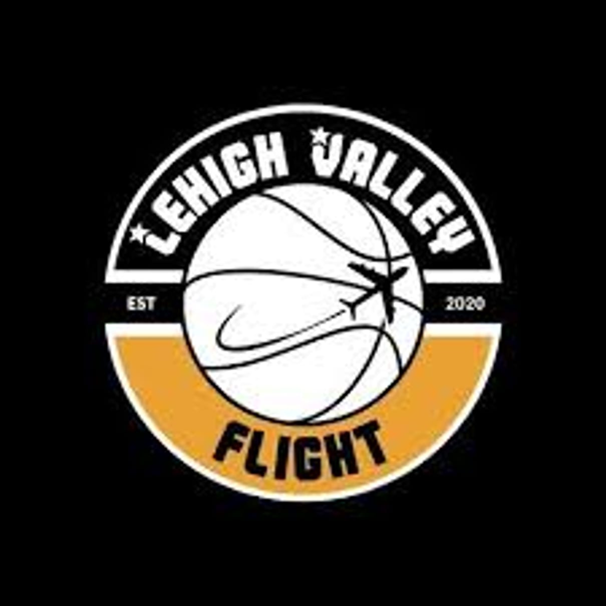 Maximum Basketball League