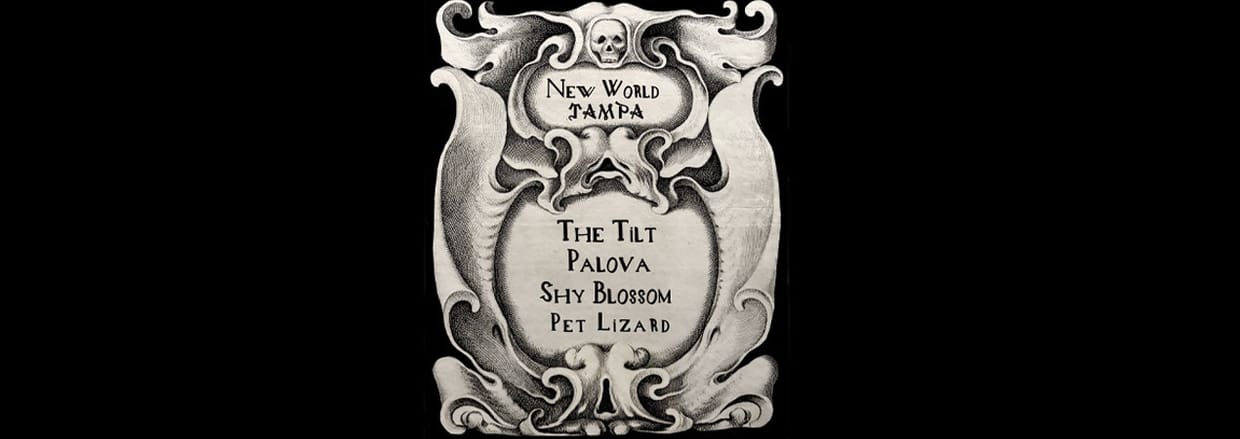 The Tilt, Palova, Shy Blossom, and Pet Lizard