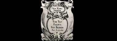 The Tilt, Palova, Shy Blossom, and Pet Lizard