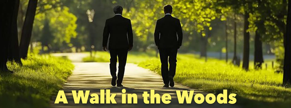 A Walk in the Woods