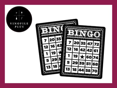 November Vinofile Plus Pick-Up Party: Wine + Bingo