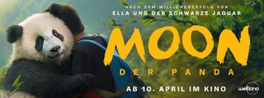 Kino: Moon, der Panda