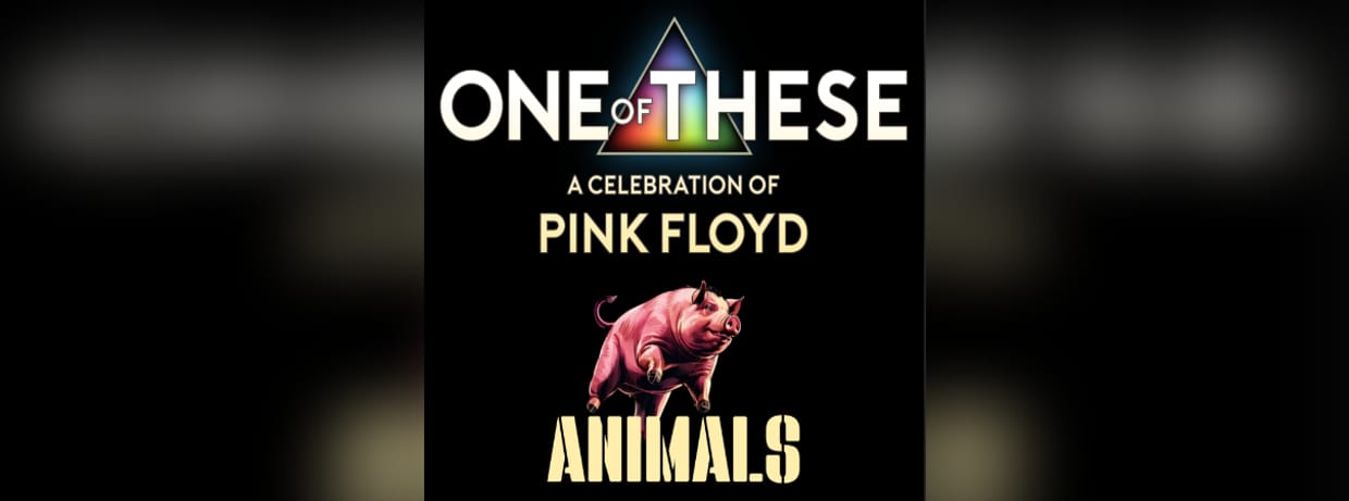 One of These PINK FLOYD