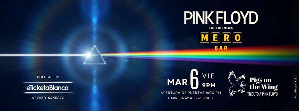PINK FLOYD EXPERIENCIES: PIGS ON THE WING (TRIBUTO PINK FLOYD)