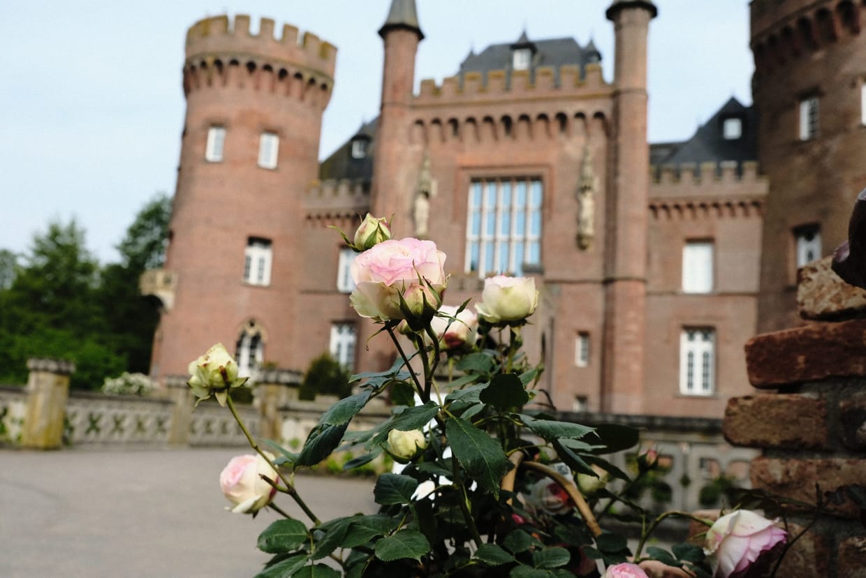 Golden Summer Schloss Moyland 