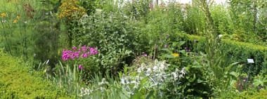 Kräutersommer Kurs 3: Naturseifen - umweltfreundlich, nachhaltig, pflegend