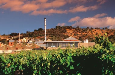 Wine & Dine mit Penfolds