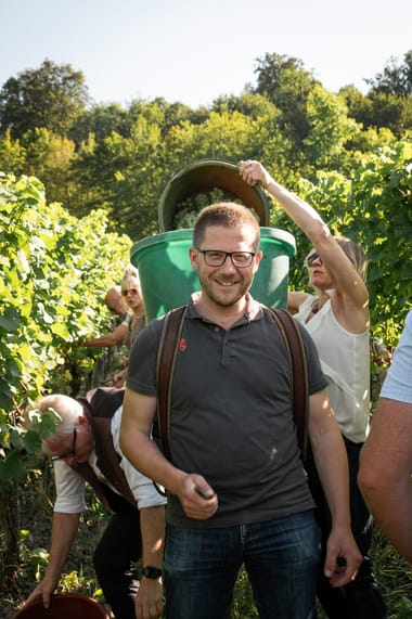CASTELLER.WEINLESE.HAUTNAH