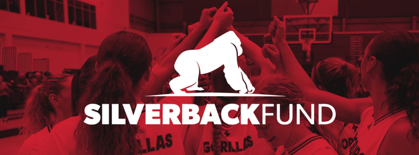 Silverback Fund