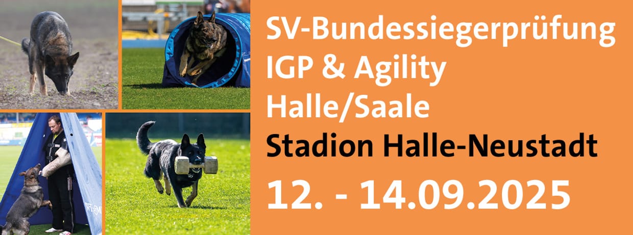 SV-Bundessiegerprüfung IGP & Agility 2025 in Halle (Saale)