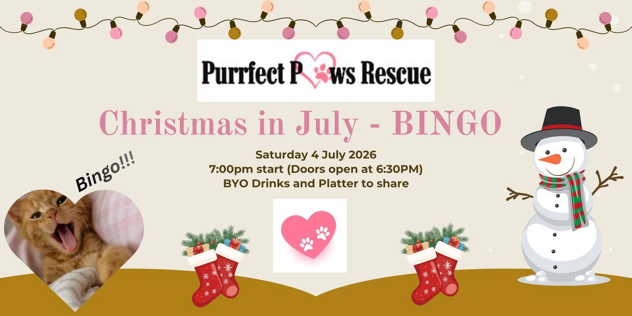 2026 Christmas in July BINGO