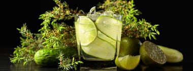 Grillen mit Gin