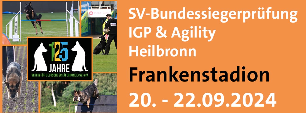 SV-Bundessiegerprüfung IGP & Agility 2024 in Heilbronn