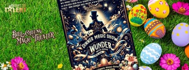 Oster Dinner Magic SHOW
