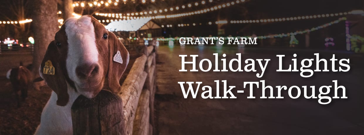 Holiday Lights Walk-Through at Grant's Farm