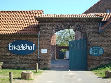 Das 1. RUDELSINGEN in Köln-Westhofen