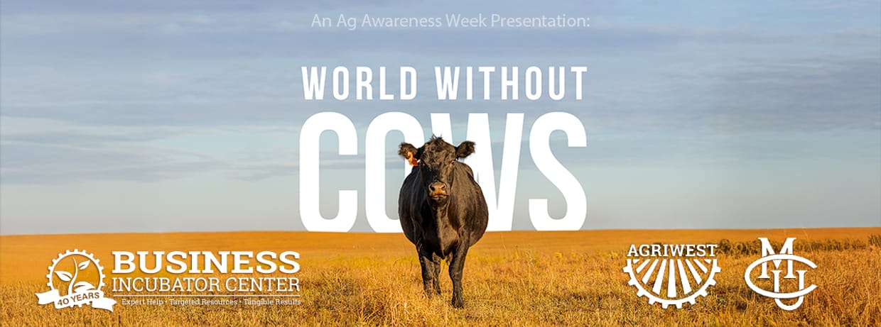 A World Without Cows - Documentary