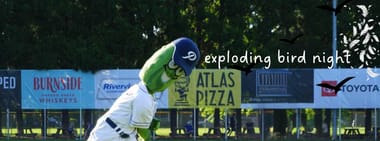 Exploding Bird Night (Randy Johnson Homage)