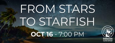 From Stars to Starfish